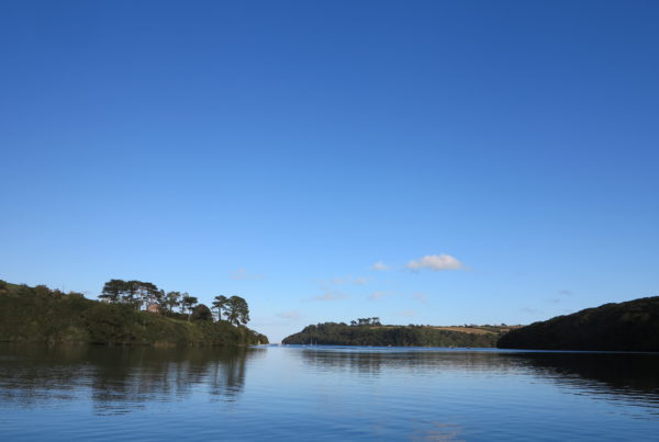 Koru Kayaking Helford River Adventure Cornwall