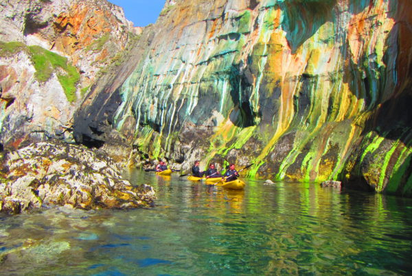 Koru Kayaking St Agnes Kayaking Adventure