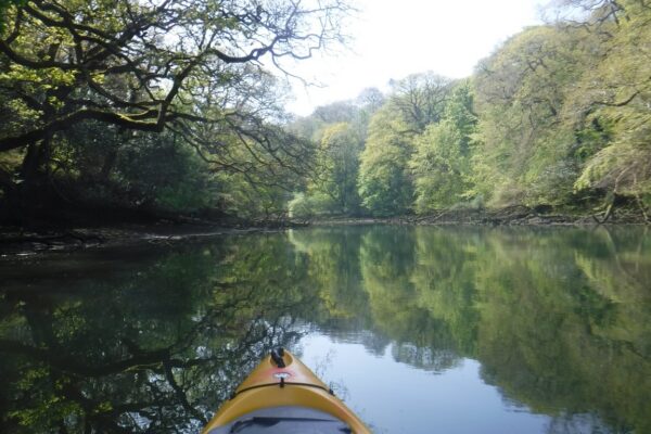 Kayaking along Frenchman's Creek not a breath of wind and just the sound of bird song