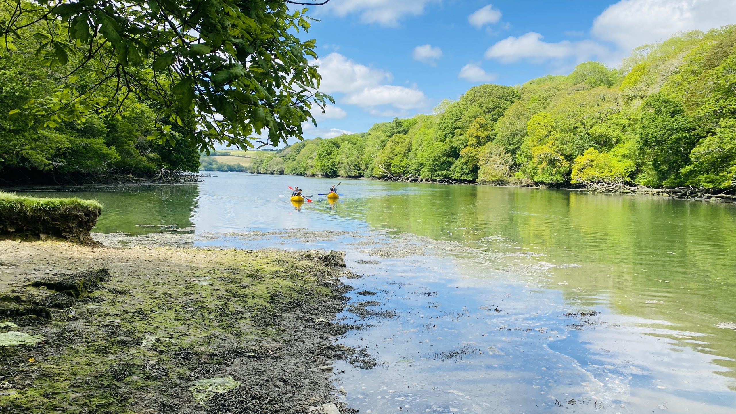 Walk in Her Footsteps: 5 Daphne du Maurier Experiences You Can Have in Cornwall