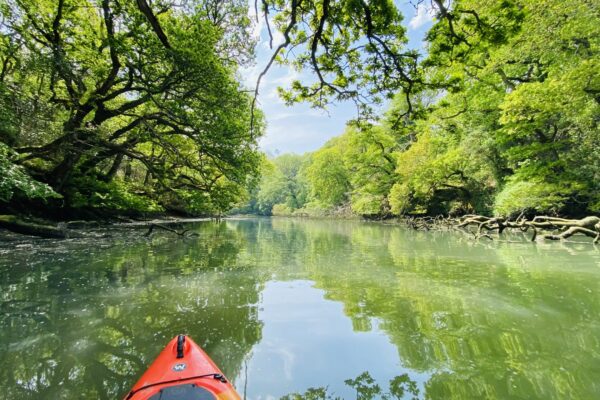 koru kayaking frenchman creek