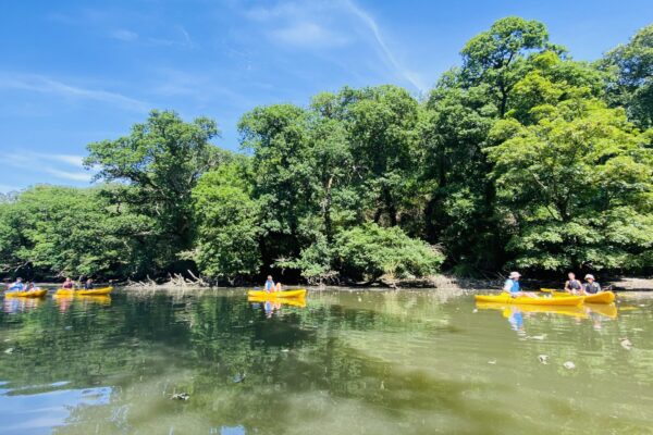 kayaking Frenchman's creek
