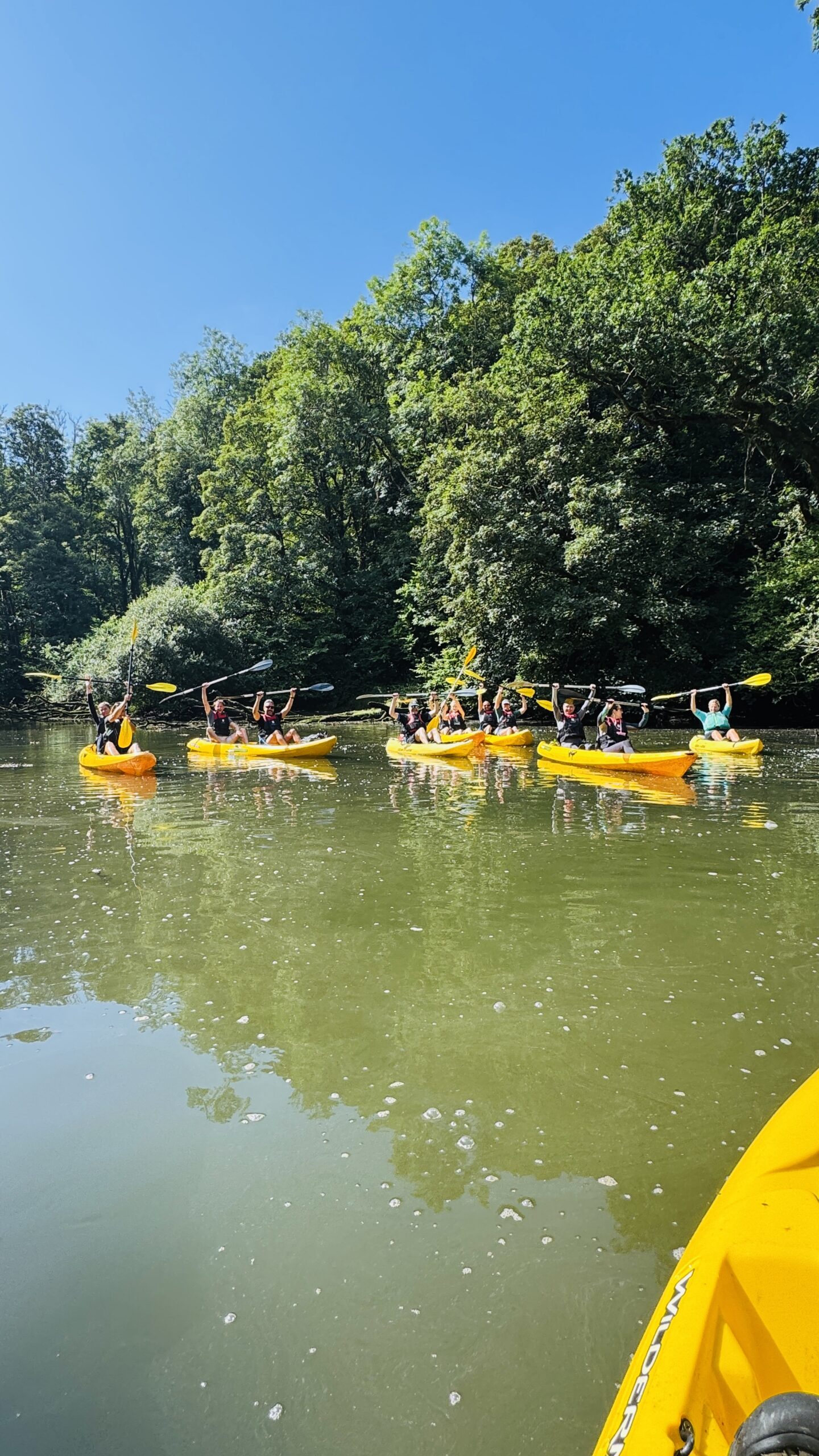 Wildlife Watch on the Helford in Summer
